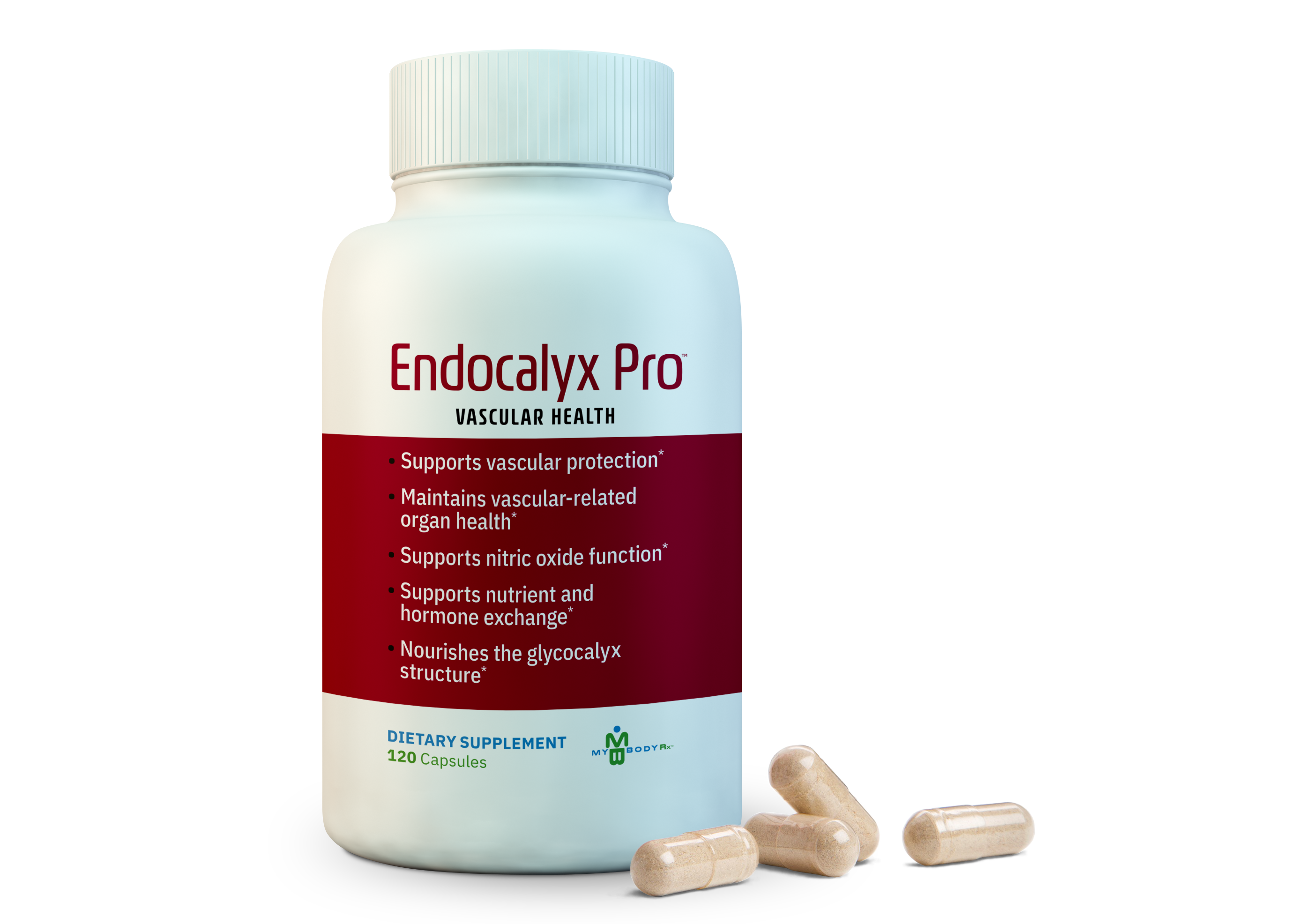 Endocalyx Pro 05-2025 capsules and Dr seal wide2